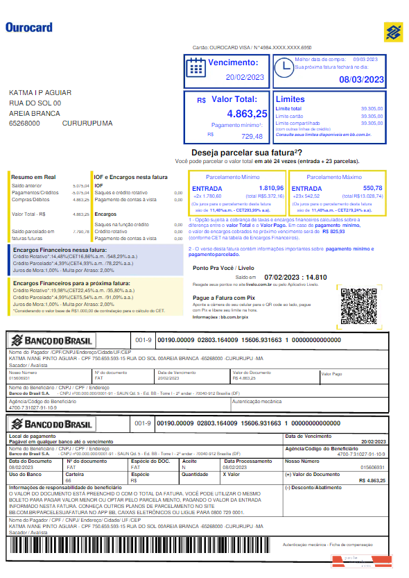BRASIL BANCO DO BRASIL utility bill Word and PDF template